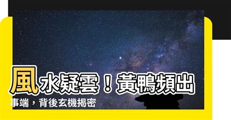 黃鴨 風水 路上看到喜鵲